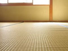 ペットを飼育していると注意が必要です ペットを飼育していると注意が必要です